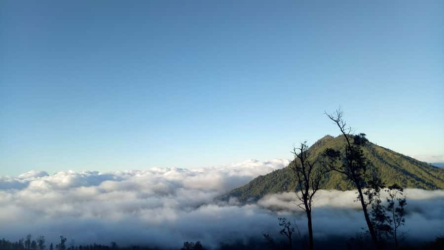 From Bali : The Majestic Mount Ijen Sunrise Trekking - Blue fire, sulfur fumes, and working miners