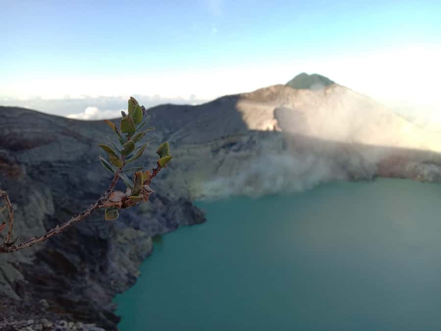 From Bali : The Majestic Mount Ijen Sunrise Trekking - Is the guide support good enough for the effort?