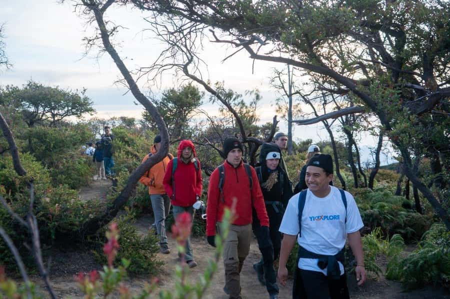 From Banyuwangi: Day Trip to Ijen Volcano with Guided Trek - Reaching the Ijen crater rim before sunrise