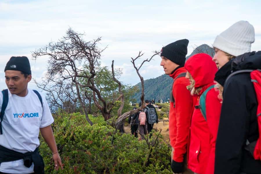 From Banyuwangi: Day Trip to Ijen Volcano with Guided Trek - A realistic morning-by-morning outline