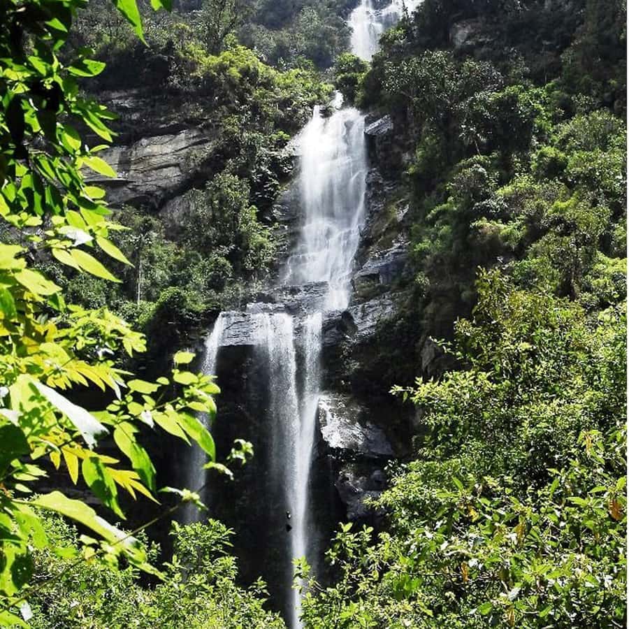 From Bogota: La Chorrera Waterfall Guided Hike - Key points to know before you go