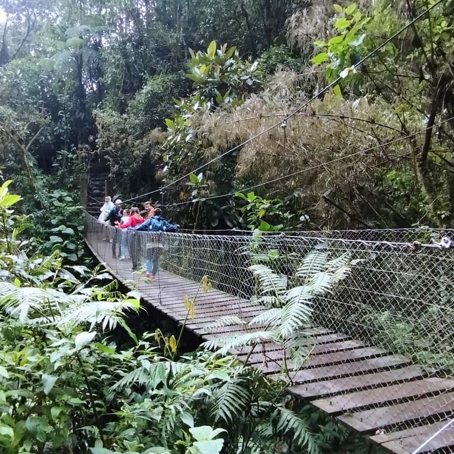 From Bogota: La Chorrera Waterfall Guided Hike - The hike is moderate, but do not treat it as a stroll