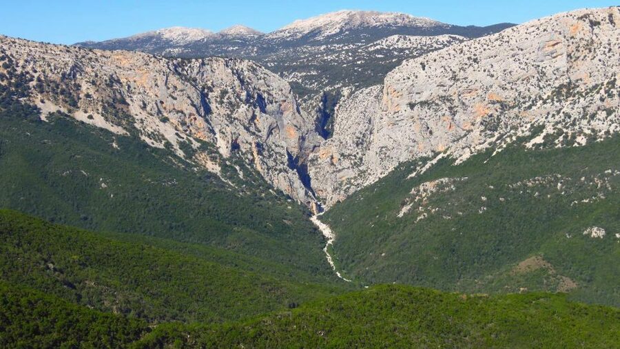 From Cala Gonone: Gorropu hiking with lunch - The 12-kilometer route through Mediterranean scrub