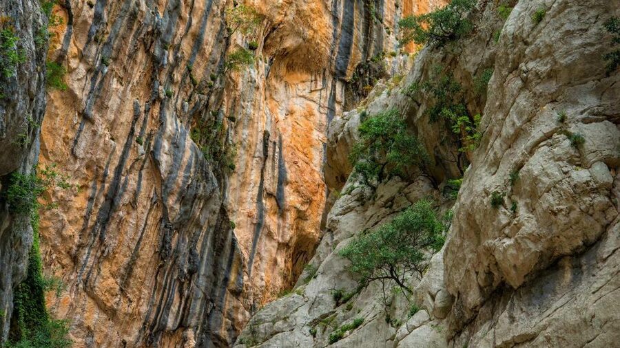 From Cala Gonone: Gorropu hiking with lunch - What the six-hour schedule really means