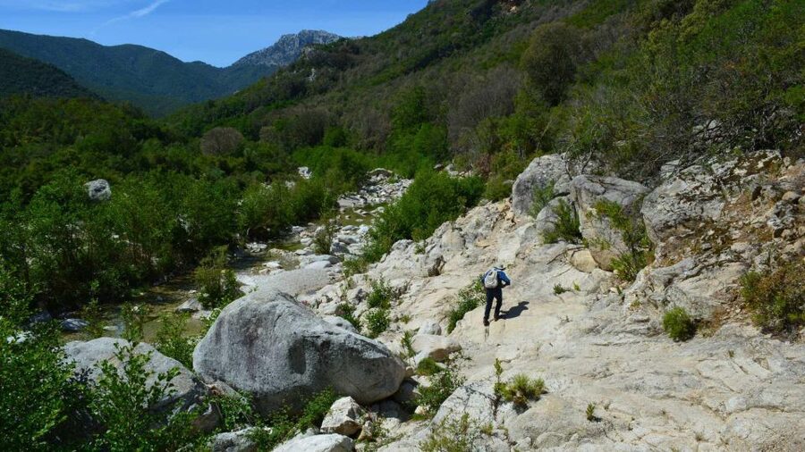From Cala Gonone: Gorropu hiking with lunch - The guide and the value of a small group