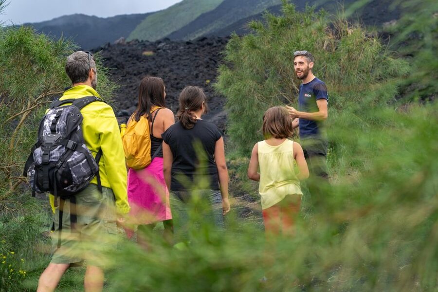 From Catania: trek on Mount Etna, Lava Cave & tasting Tour - Should you pay for the cable car and 4x4 bus?