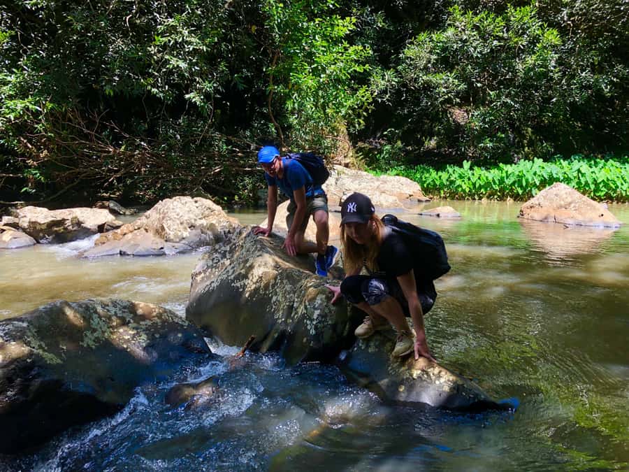 From Chamarel: Waterfall Eco-Hike Adventure - Four river crossings and plenty of wet feet