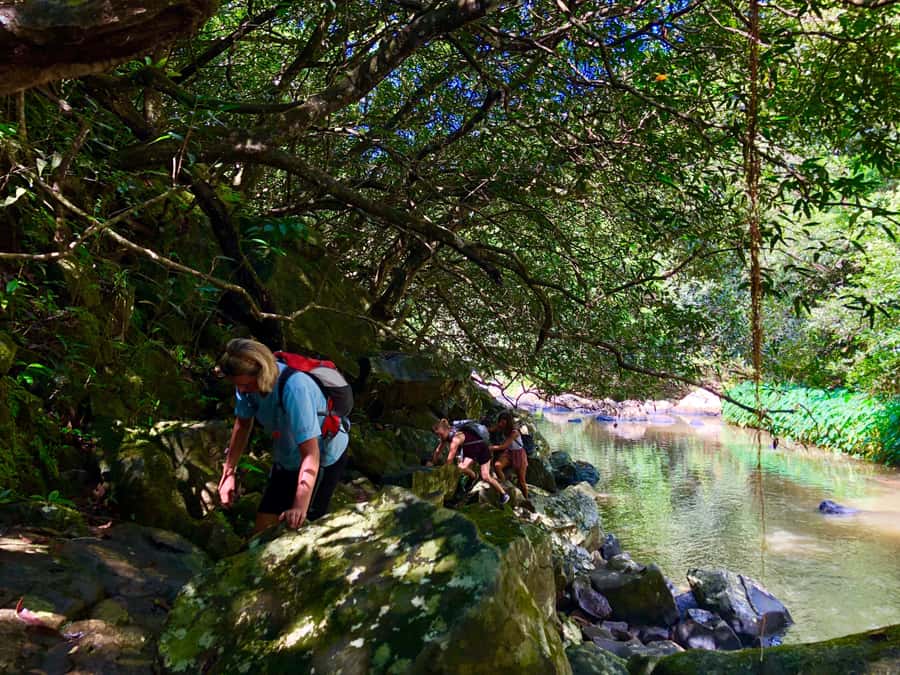 From Chamarel: Waterfall Eco-Hike Adventure - How long the hike really takes