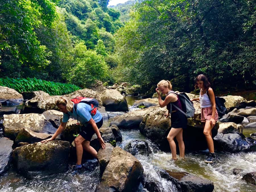 From Chamarel: Waterfall Eco-Hike Adventure - Descending into the hidden valley