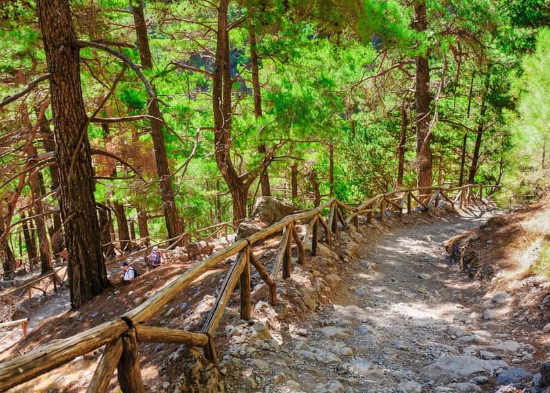 From Chania: Full-Day Samaria Gorge Trek Excursion & Guide - The Ferry Ride Back to Sougia