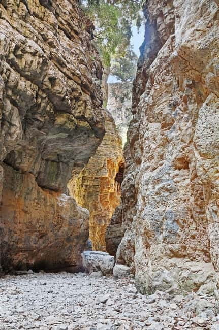 From Chania:Imbros Gorge Tour with Professional Hiking Guide - Entering the 9-kilometer Imbros Gorge