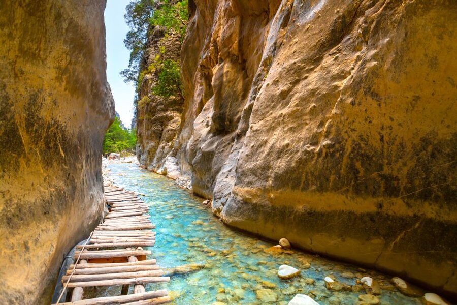 From Chania/Rethymno: Samariá Gorge Guided Hike with Pickup - From wooden steps to the Samaria forest