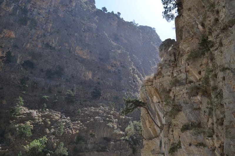 From Chania: Samaria Gorge Hike with Local Mountain Guide - Key points to know before booking