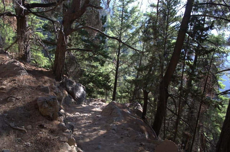 From Chania: Samaria Gorge Hike with Local Mountain Guide - Final verdict: a strong choice for prepared hikers