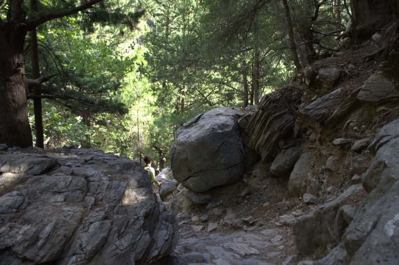 From Chania: Samaria Gorge Hike with Local Mountain Guide - What the gorge trail feels like underfoot