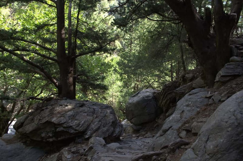 From Chania: Samaria Gorge Hike with Local Mountain Guide - Agia Roumeli: the well-earned finish