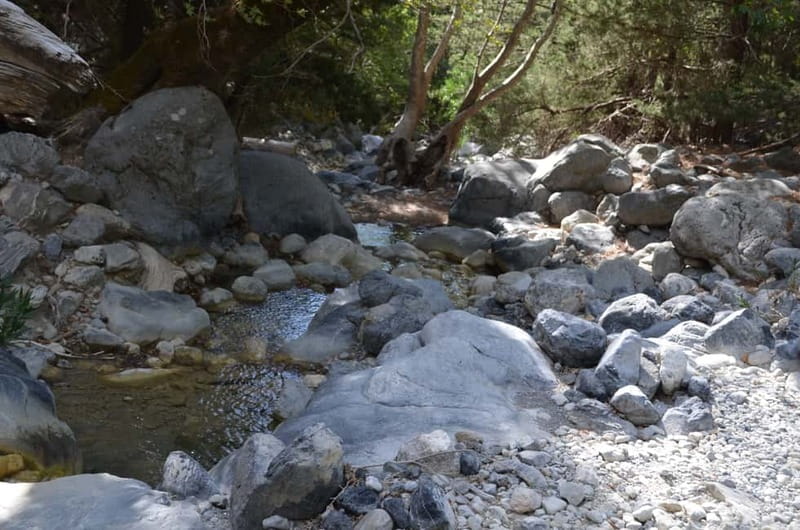 From Chania: Samaria Gorge Hike with Local Mountain Guide - Who should book this Samaria Gorge trip?
