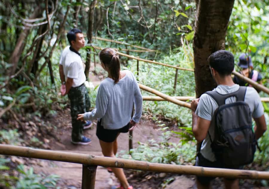 From Chiang Mai: Doi Inthanon National Park Day Trip & Hike - Key points to know before booking