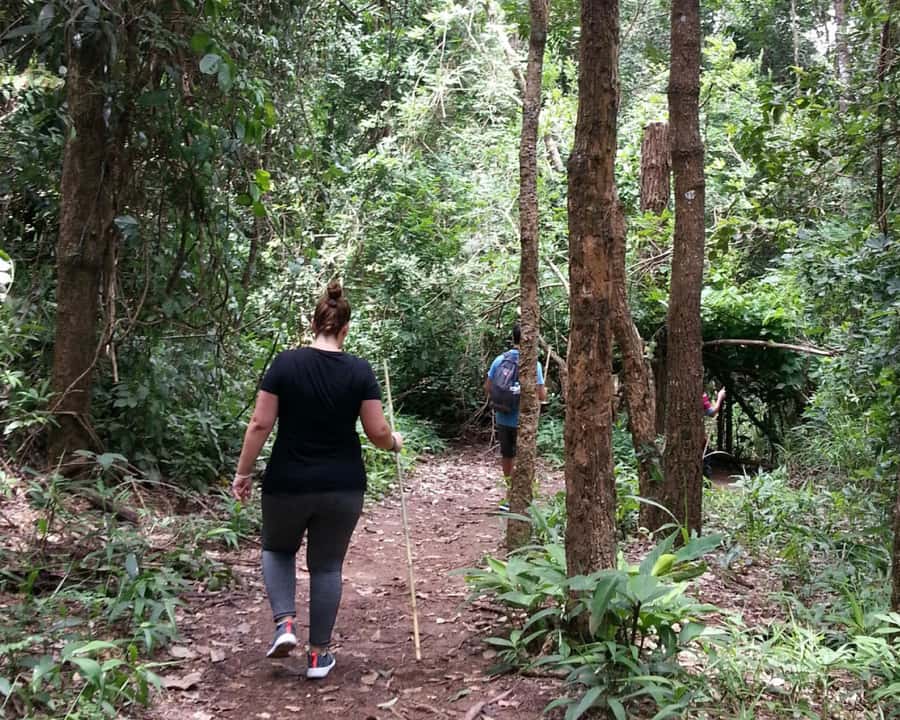 From Chiang Mai: Doi Inthanon National Park Day Trip & Hike - Lunch at the Inthanon Royal Project restaurant