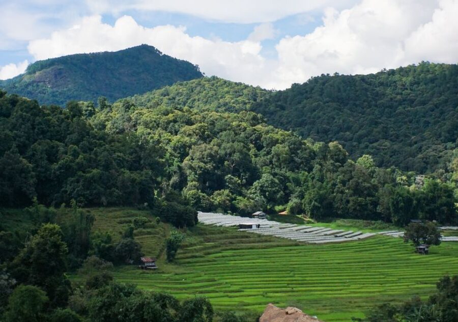 From Chiang Mai: Doi Inthanon National Park Day Trip & Hike - The two-hour Pha Dok Siew hike