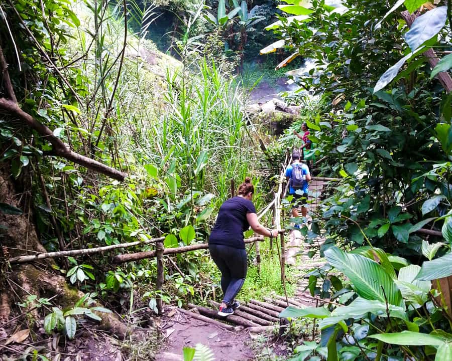 From Chiang Mai: Doi Inthanon National Park Day Trip & Hike - Meeting the Karen community at Mae Klang Luang