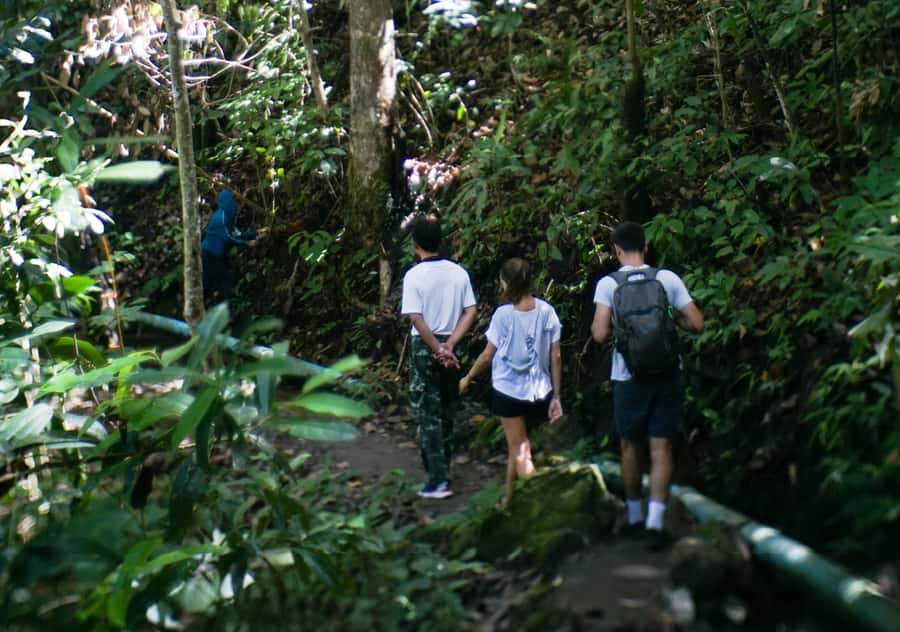 From Chiang Mai: Doi Inthanon National Park Day Trip & Hike - What the guides add to the experience