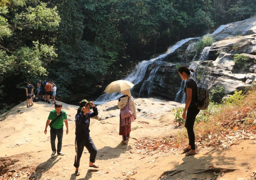 From Chiang Mai: Doi Inthanon National Park Hiking Tour - Watching for snakes, lizards, and gibbons
