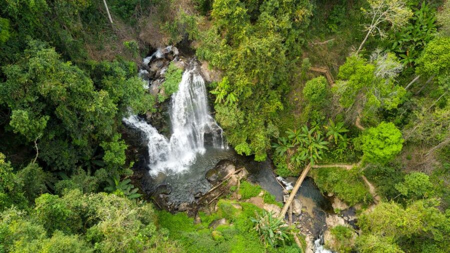 From Chiang Mai: Doi Inthanon National Park Hiking Tour - Cooling off in the designated swimming pool