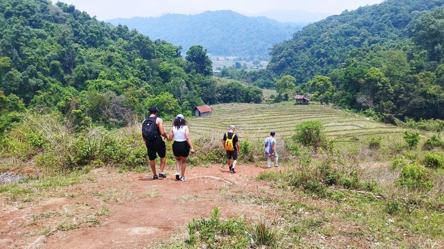 From Chiang Mai: Doi Inthanon National Park Hiking Tour - Starting at Thailand’s highest point