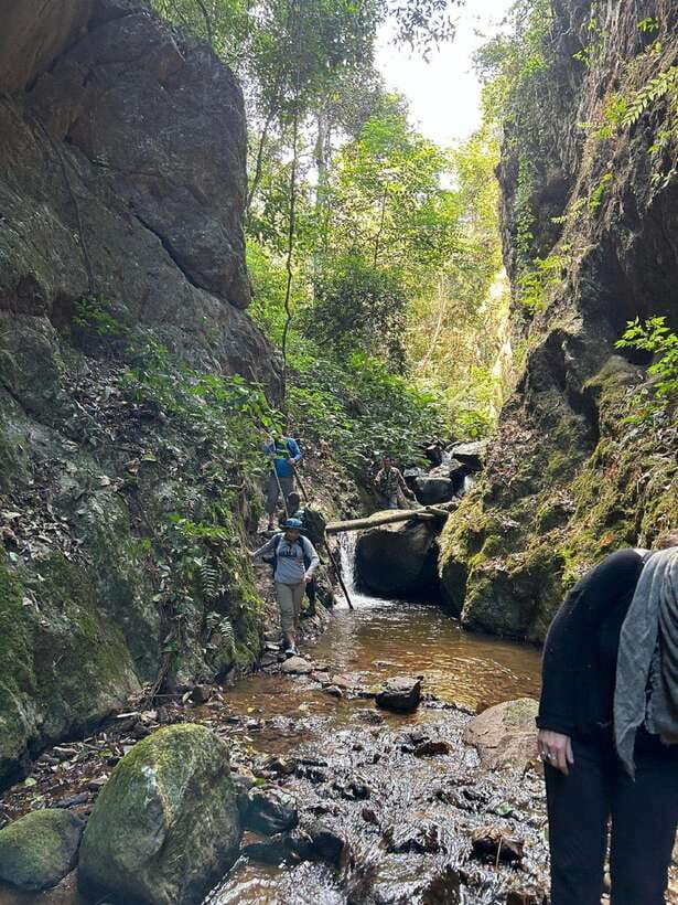 From Chiang Mai: Doi Saket Hiking Tour with Lunch - What to pack for a safe day