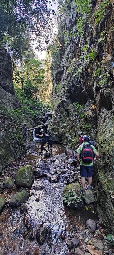 From Chiang Mai: Doi Saket Hiking Tour with Lunch - Five hours on a rough jungle trail
