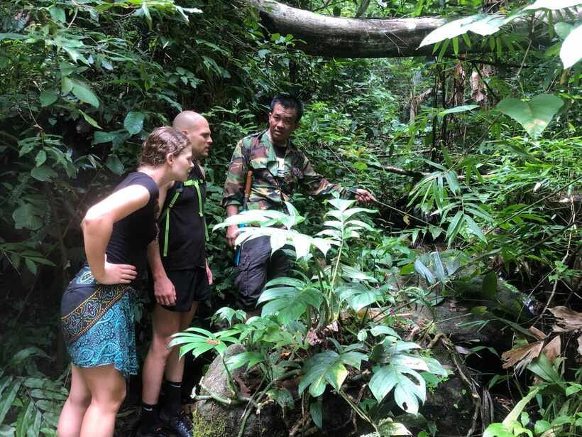 From Chiang Mai: Doi Saket Hiking Tour with Lunch - A village introduction before the forest