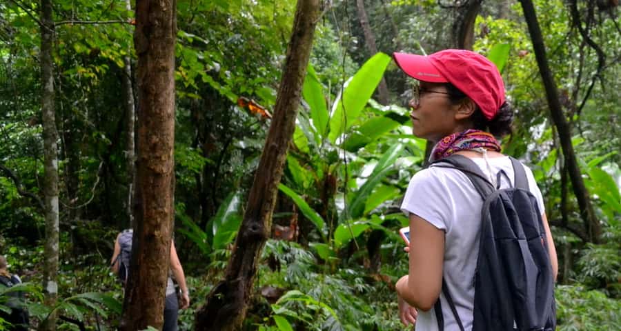 From Chiang Mai: Mae Taeng Valley Hike & Bike Day Trip - What makes this Mae Taeng day trip worth considering