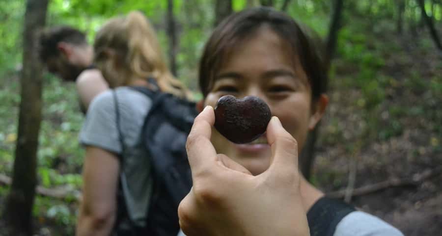 From Chiang Mai: Mae Taeng Valley Hike & Bike Day Trip - Thai lunch with a view or village setting