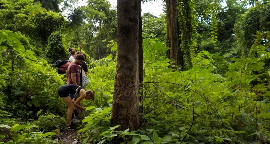 From Chiang Mai: Mae Taeng Valley Hike & Bike Day Trip - What the $83 price really covers