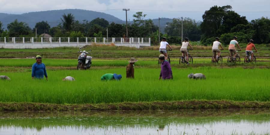 From Chiang Mai: Mae Taeng Valley Hike & Bike Day Trip - Three hours on a five-kilometer village trail