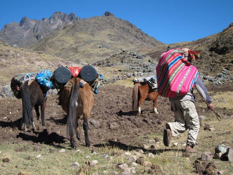 From Cusco: 7 Lakes Ausangate Trek with Breakfast and Lunch - Should you rent a horse?