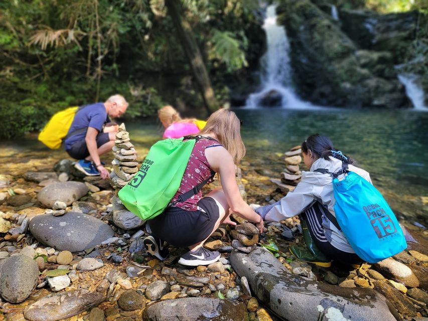 From Da Nang or Hoi An: Bach Ma National Park Trek & Lunch - Key things to know before you go