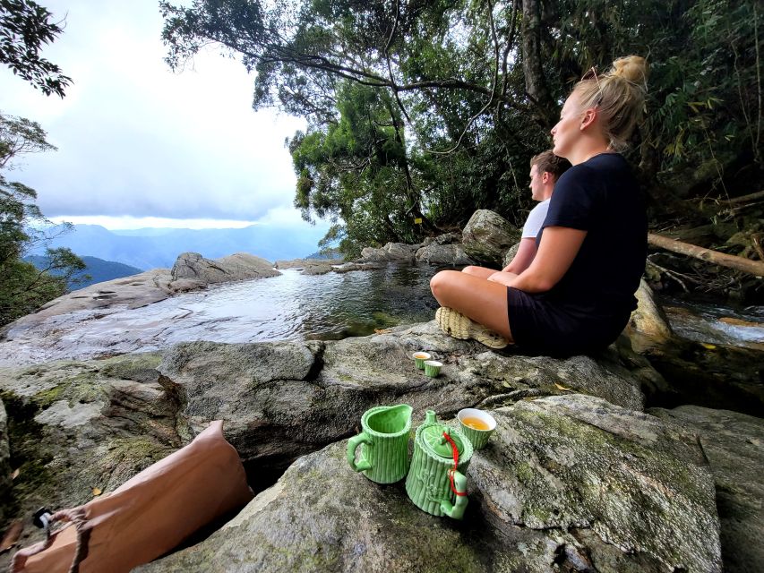 From Da Nang or Hoi An: Bach Ma National Park Trek & Lunch - Wildlife, plants, and Bach Ma’s unusual past