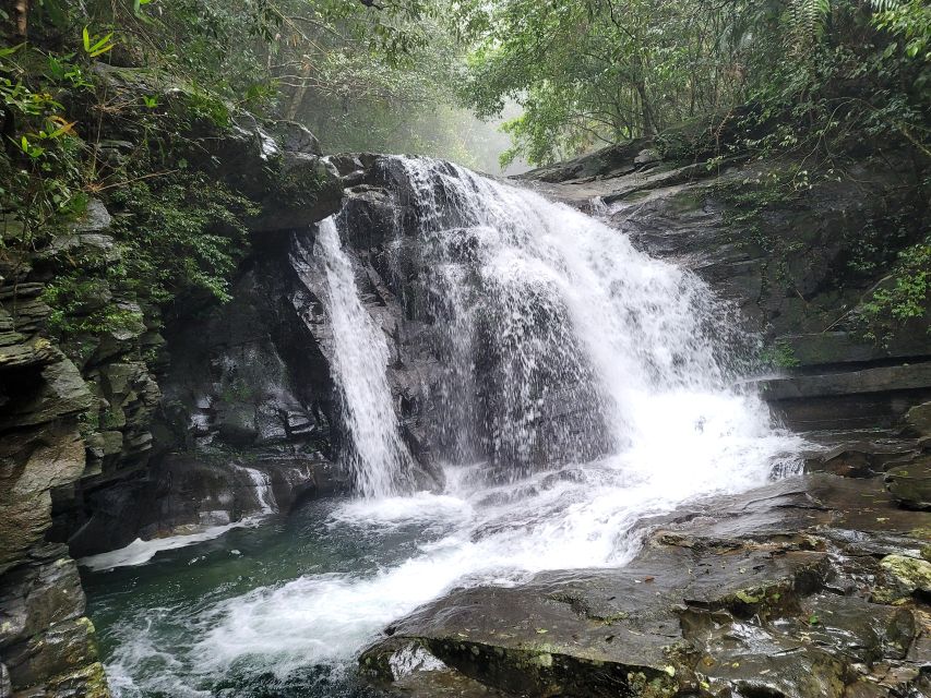 From Da Nang or Hoi An: Bach Ma National Park Trek & Lunch - The early pickup from Hoi An or Da Nang