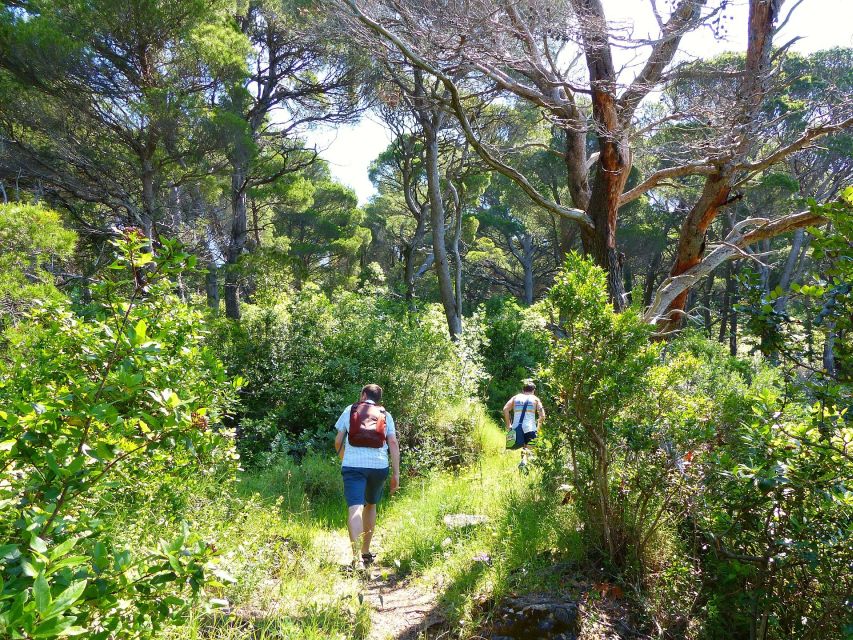 From Dubrovnik: Hiking & Swimming on Koločep Island Day Trip - Practical packing list for the ferry and trail