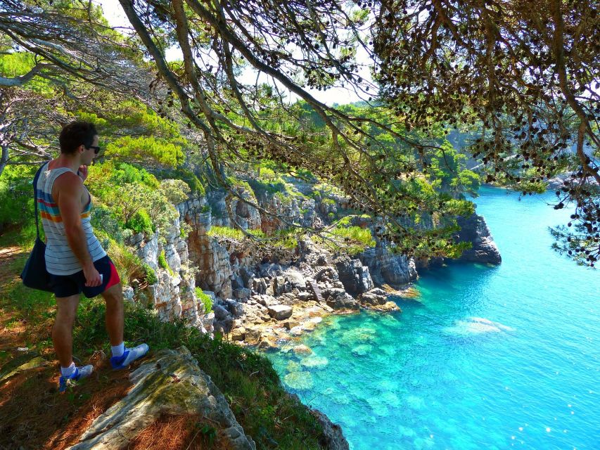 From Dubrovnik: Hiking & Swimming on Koločep Island Day Trip - What the $104 price really covers