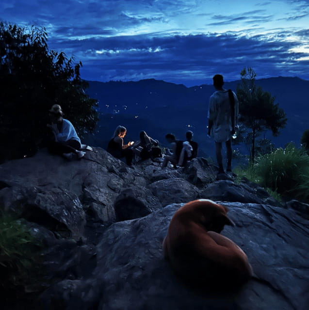 From Ella : Sun rise Hike to Ella Rock - Walking through tea plantations and forest