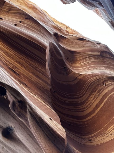 From Escalante: Zebra Slot Canyon Guided Tour and Hike - Guides Make the Difference