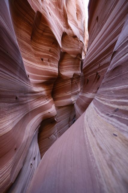 From Escalante: Zebra Slot Canyon Guided Tour and Hike - Who Will Enjoy This Most?