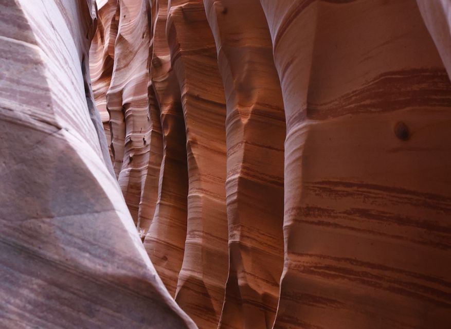 From Escalante: Zebra Slot Canyon Guided Tour and Hike - Meeting in Escalante and Taking the Dirt Road