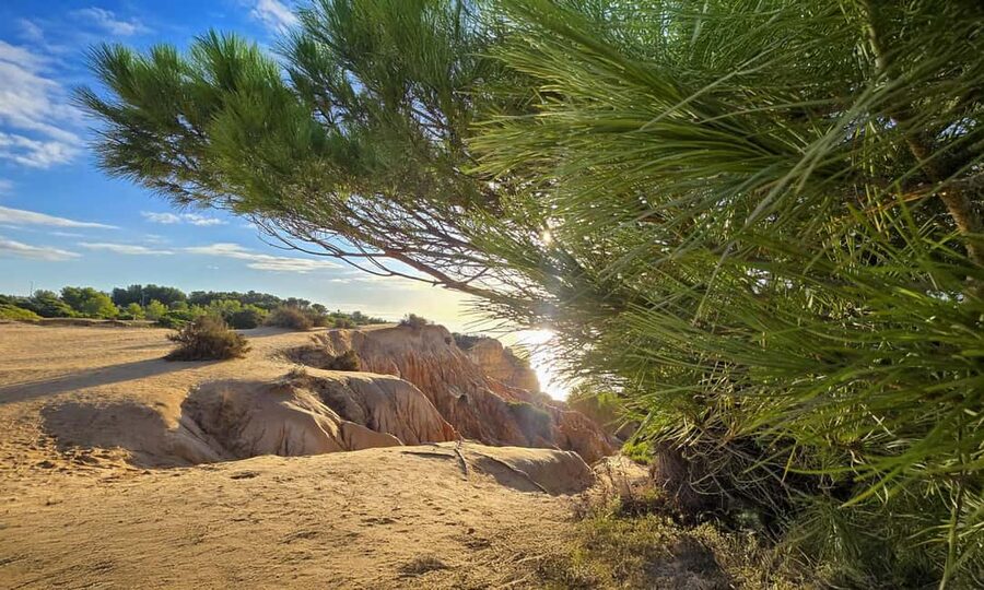 From Faro: Benagil Cliffs Hiking & 4 Treasures Experience - Price and value at $58
