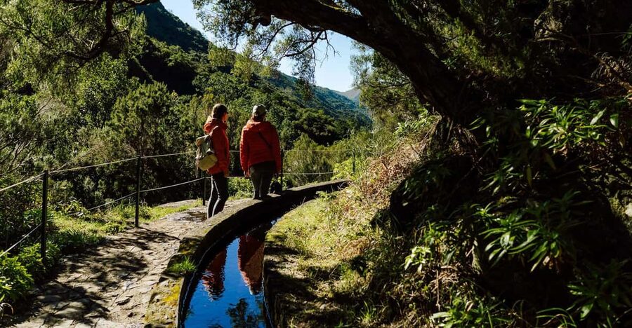From Funchal/Caniço: Rabaçal Hike (25 Fontes) Bus Transfer - Key points before you book