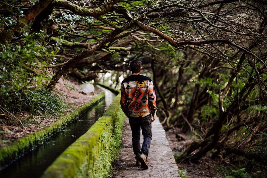 From Funchal/Caniço: Rabaçal Hike (25 Fontes) Bus Transfer - Five hours among the waterfalls and levadas