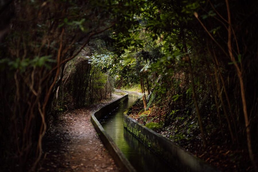 From Funchal/Caniço: Rabaçal Hike (25 Fontes) Bus Transfer - The tunnel is short on the map, longer in real life
